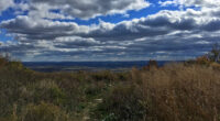 Decomposing Human Remains Found on Hiking Trail