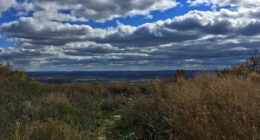 Decomposing Human Remains Found on Hiking Trail