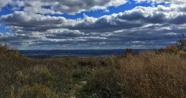 Decomposing Human Remains Found on Hiking Trail