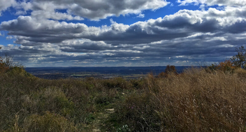 Decomposing Human Remains Found on Hiking Trail