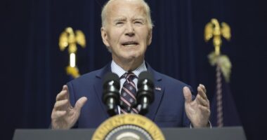 Delusional, Bitter Biden Gives One Last Interview to Sycophantic MSNBC—Pathetically Blasts 'Red States'