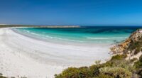 Desperate search launched for surfer, 28, missing after he was ‘attacked by shark’ as swimmers are banned from beach