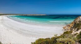 Desperate search launched for surfer, 28, missing after he was ‘attacked by shark’ as swimmers are banned from beach