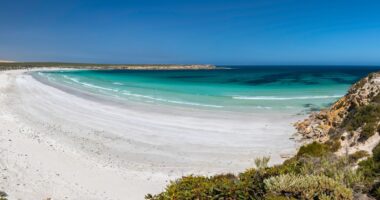 Desperate search launched for surfer, 28, missing after he was ‘attacked by shark’ as swimmers are banned from beach