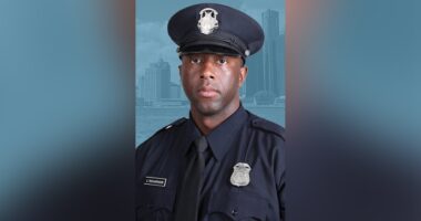 Detroit police officer killed in hit-and-run crash, person of interest at large