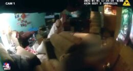 Disturbing moment cops burst in on son butchering his parents, 63 & 68, in bloody attack before shooting crazed son dead