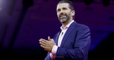 Donald Trump Jr. making surprise visit to Greenland after his father announced plans to take over island