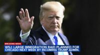 Donald Trump administration planning 'large-scale immigration raid' Tuesday in Chicago: Reports; mass deportation fears grow