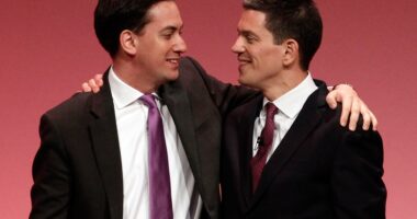 Donald Trump does not want David Miliband as ambassador, Republican ally declares