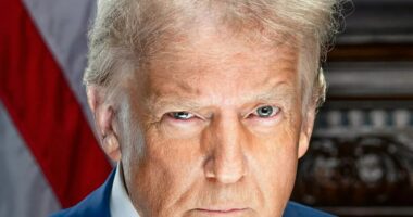 Donald Trump gives menacing look in official portrait ahead of  return to White House