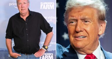 Donald Trump should be allowed to buy Greenland – the world needs a transfer window for countries, says Jeremy Clarkson