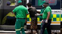 Dozens of survivors and dead pulled from abandoned South African mine as hundreds remain underground