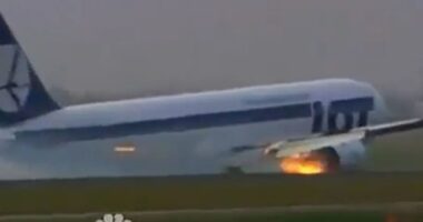 Dramatic moment pilot lands plane carrying 231 WITHOUT wheels on live TV – & why South Korean jet couldn’t do the same