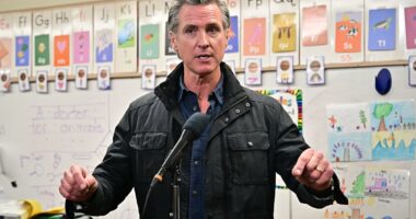 Egomaniac Gavin Newsom's deranged plot to ruin Trump's first presidential visit to tour LA fire wreckage