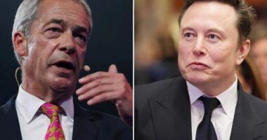 Elon Musk TURNS on Nigel Farage and says ‘Reform needs a new leader’ – after disagreements over Tommy Robinson