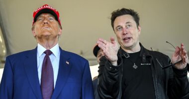 Elon Musk biographer makes astonishing claim about billionaire's health: 'It has enormous consequences'