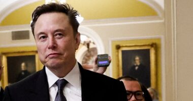 Elon Musk could acquire US operations of TikTok under new deal proposed by Chinese officials