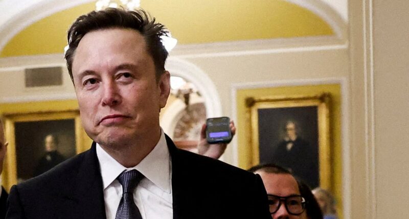 Elon Musk could acquire US operations of TikTok under new deal proposed by Chinese officials