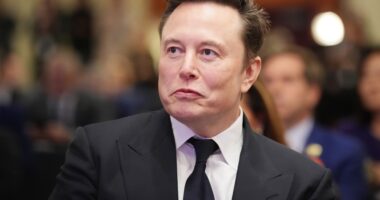 Elon Musk teams up with Brexit mastermind Dominic Cummings to target Sir Keir Starmer online