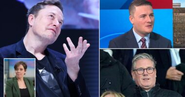 Elon Musk's attack on Keir Starmer  and Jess Phillips over grooming gangs branded 'ridiculous and ill-informed' by top Labour minister