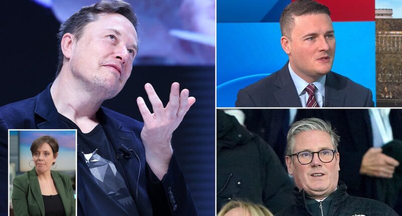 Elon Musk's attack on Keir Starmer  and Jess Phillips over grooming gangs branded 'ridiculous and ill-informed' by top Labour minister