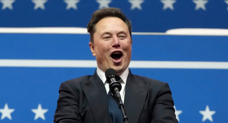 Errol Musk defends son’s ‘out of control’ behavior and ‘shift’ in attitude that saw him become Trump’s right-hand man