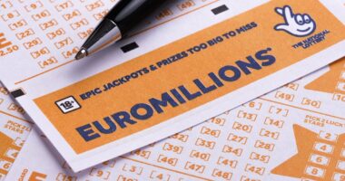 EuroMillions winning numbers revealed as Brit bags huge £83MILLION jackpot