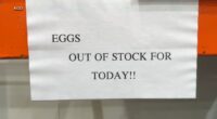 Expect record-high egg prices for most of the year. Here's why