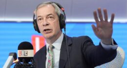 Farage admits losing Musk’s support DOES harm Reform but blasts Americans for making Tommy Robinson ‘political prisoner’