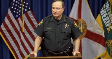 Florida sheriff encourages illegal aliens to self-deport ahead of Trump inauguration: 'Southbound and down'