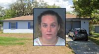 Florida woman allegedly stabs boyfriend's pit bull