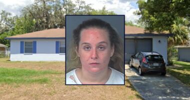 Florida woman allegedly stabs boyfriend's pit bull