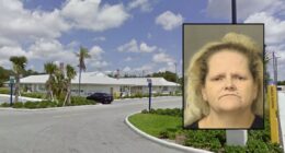 Florida woman kills husband with 18-inch bladed cane: Police