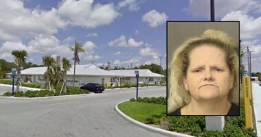 Florida woman kills husband with 18-inch bladed cane: Police