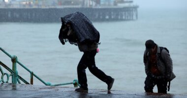 Freezing fog to blanket Britain as blizzards hit and snow warnings remain - but clearer days are coming