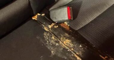 Furious customer claims Uber driver used viral photo of VOMIT to scam him into paying £80 fine - have YOU also fallen victim to this trick?