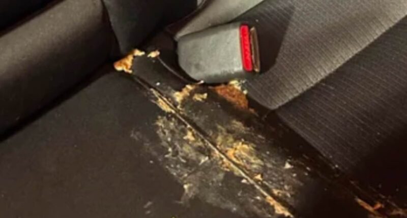 Furious customer claims Uber driver used viral photo of VOMIT to scam him into paying £80 fine - have YOU also fallen victim to this trick?