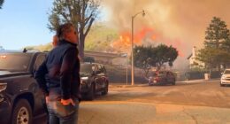 Gavin Newsom is slammed for car crash interview as he furiously tries to shift blame for LA fires