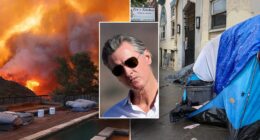 Gavin Newsom's Bay Area ravaged by surging crime as LA burns: ‘It's a war zone!'