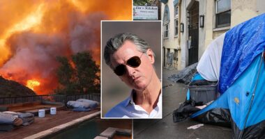 Gavin Newsom's Bay Area ravaged by surging crime as LA burns: ‘It's a war zone!'