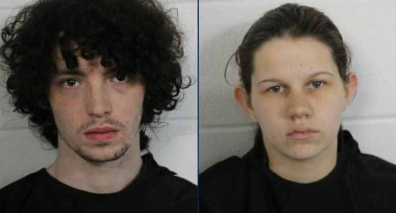 Georgia Parents Charged With Child Abuse After Bringing Baby to Hospital With 29 Fractures