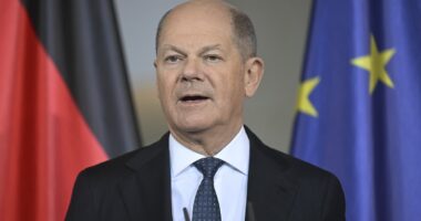 Germany's Chancellor Scholz joins France in warning Donald Trump against threatening Greenland as territory's Prime Minister flies in for talks with King of Denmark