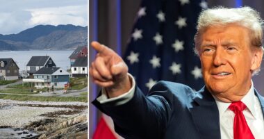 Greenland PM seeks independence following Trump acquisition comments