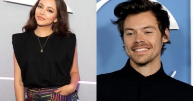 Harry Styles Issues Apology to Jade Thirlwall of Little Mix for Disappearing After Their Date