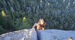 Heartbreaking final post of rock climber, 30, before she fell off cliff to her death in front of friend