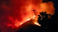 Hollywood Boulevard is evacuated as wildfires erupt in celebrity epicentre: Another 100,000 told to escape NOW as horror images show LA neighbourhoods reduced to ashes and death toll rises