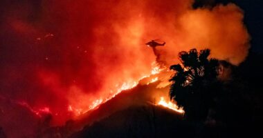 Hollywood Boulevard is evacuated as wildfires erupt in celebrity epicentre: Another 100,000 told to escape NOW as horror images show LA neighbourhoods reduced to ashes and death toll rises