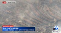 Hollywood on hold as fires rage in Los Angeles