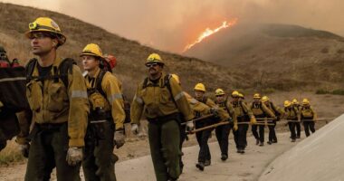 Horrific drone footage shows hellish extent of LA inferno's wrath as 10,000 structures are razed