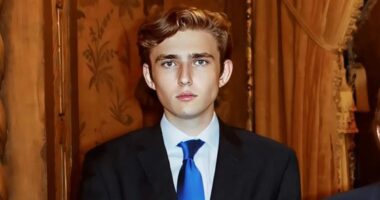 How 19-year-old Barron could be the NEXT President Trump: Fellow students tell TOM LEONARD why he's 'keeping his head down' at university - and how mum Melania is nurturing him for power